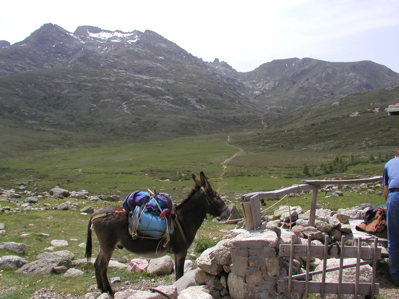 Bergeries de vaccaghja 2
