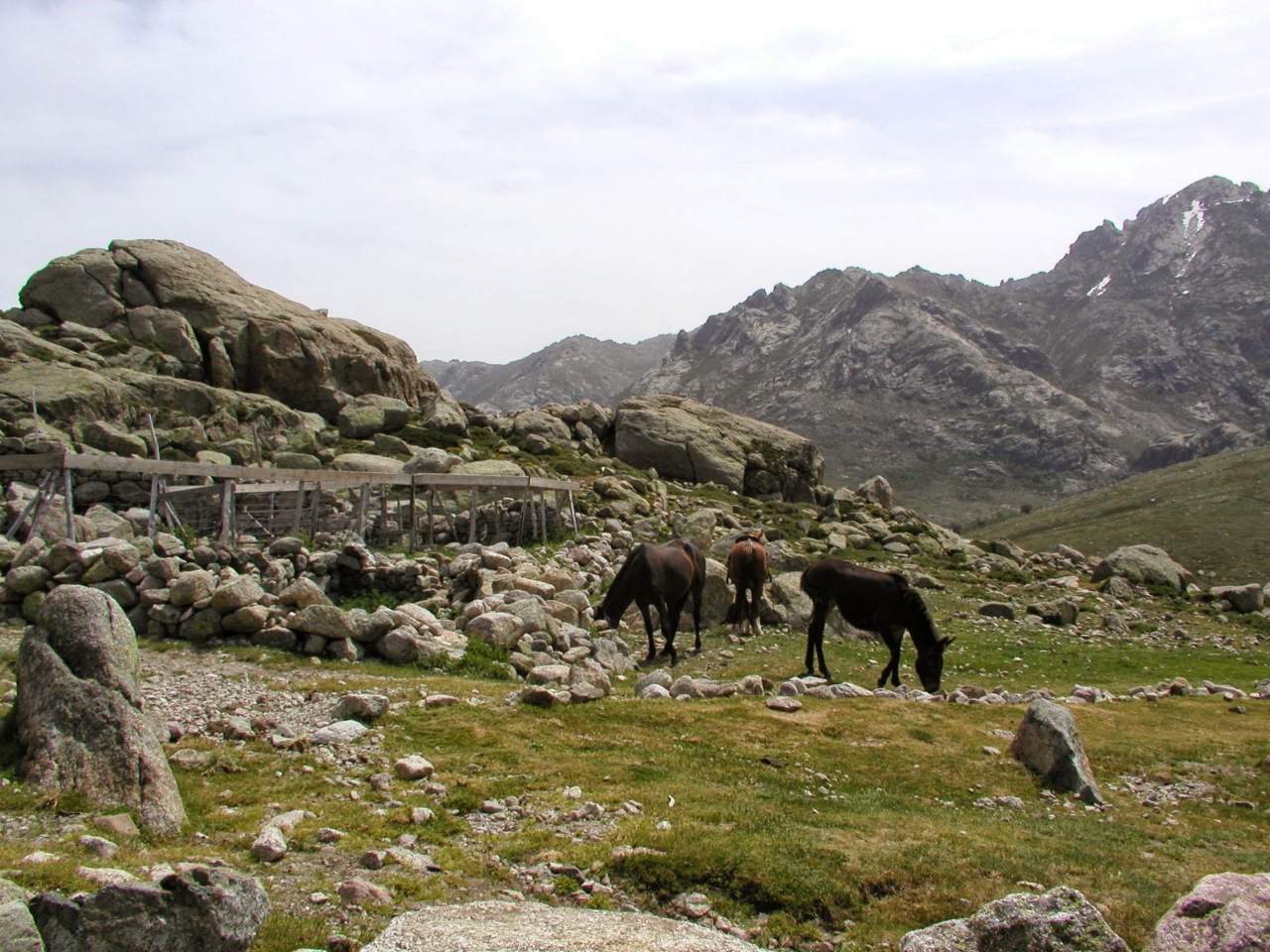 Bergeries de vaccaghja