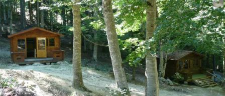 Col de verde 2